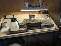 PXL_20240825_053726087.MP.jpg