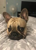 IMG_7232.jpeg