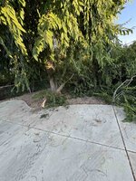 IMG_1860.jpg