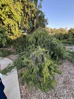 IMG_1861.jpg
