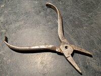 IMG_3573.jpeg