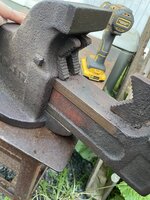 IMG_7524.jpeg