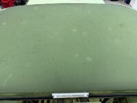 IMG_9006.jpg