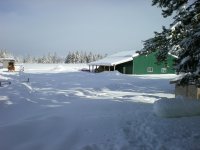 New 2-3-08 041.jpg