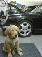 IMG00359-20110509-2200.jpg