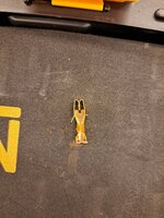 20240828_200336.jpg