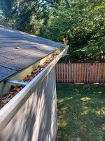 20240828_090438.jpg 20240828_090438.jpg