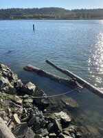IMG_1646.jpeg