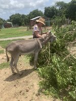 IMG_3336.jpeg