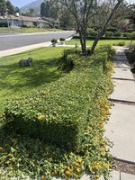 IMG_3900.jpeg