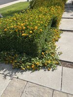 IMG_3898.jpeg