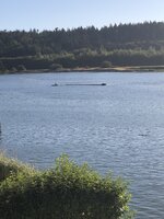 IMG_0633.jpeg