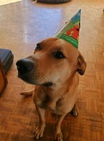 image000000(48).jpg
