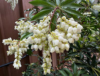 IMG-1229.jpg