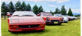 IMG_2861.jpeg