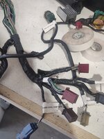 IMG_20240901_145115615.jpg