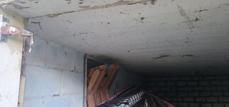 20240903_065513.jpg