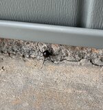 IMG_6269.jpeg