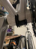 IMG_1102.jpeg