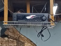 20240905_201726[1].jpg