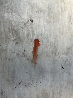 IMG_5814.jpeg