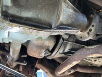 IMG_5813.jpeg