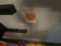 IMG_9836.jpg
