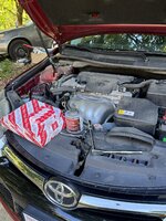 IMG_0399.jpeg IMG_0399.jpeg