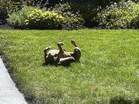IMG_1848.jpeg IMG_1848.jpeg