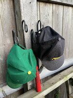 IMG_7551.jpeg