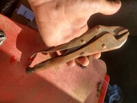 20240912_084917.jpg 20240912_084917.jpg