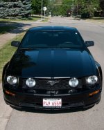 2008 Mustang GT - Auburn - 3.jpg