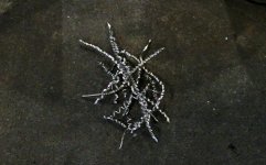 shavings.jpg