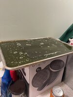 IMG_2943.jpeg