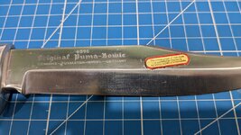 PXL_20240915_220022696.jpg