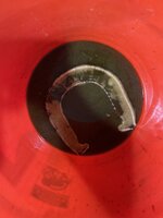 IMG_2976.jpeg