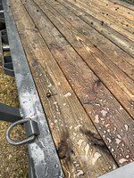 IMG_2607.jpeg