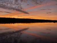 IMG_1868.jpeg