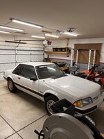 IMG_8097.jpeg