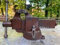 IMG_2367.jpeg