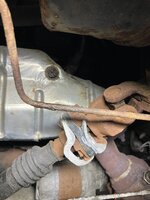 IMG_5945.jpeg