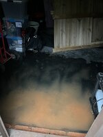 IMG_6585.jpeg
