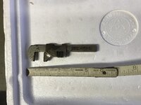 IMG_4137.jpeg