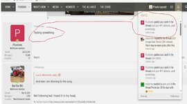 Alert Glitch PCustoms test.jpg Alert Glitch PCustoms test.jpg