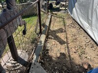 IMG_4938.jpeg