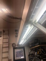 Lights.jpg