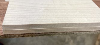 IMG_8082.jpeg IMG_8082.jpeg