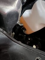 IMG_4037.jpeg