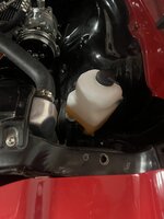 IMG_4036.jpeg