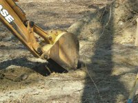 First Footing Scoop.JPG